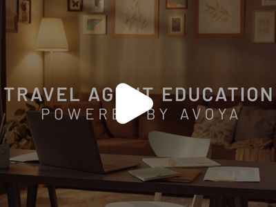 online travel network